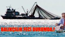 BALIKÇILIK FECİ DURUMDA.!