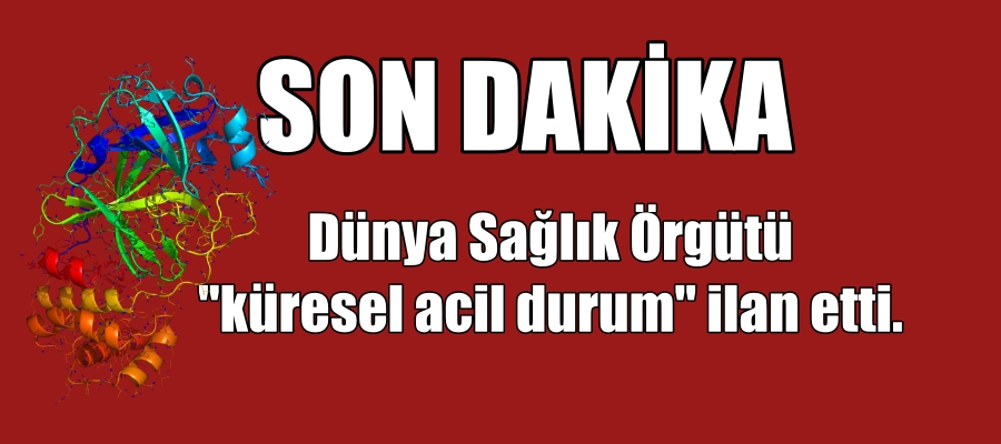 Dünya Sağlık Örgütü “küresel acil durum” ilan etti.