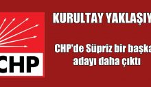 CHP’de Süpriz bir başkan adayı daha çıktı