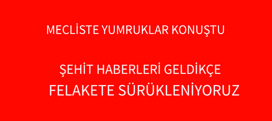 MECLİSTE YUMRUKLAR KONUŞTU,