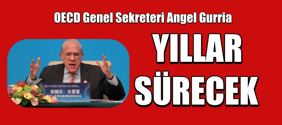 OECD Virüsün Etkileri Yıllar Sürecek