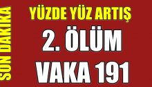 Türkiye 2. Ölüm. Vaka Sayısı 191