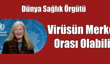 Dünya Sağlık Örgütü Virüsün Merkezi Orası Olabilir