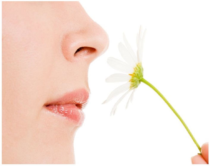 KOKU VE TAT ALMA BOZUKLUĞU COVİD-19 HABERCİSİ OLABİLİR !