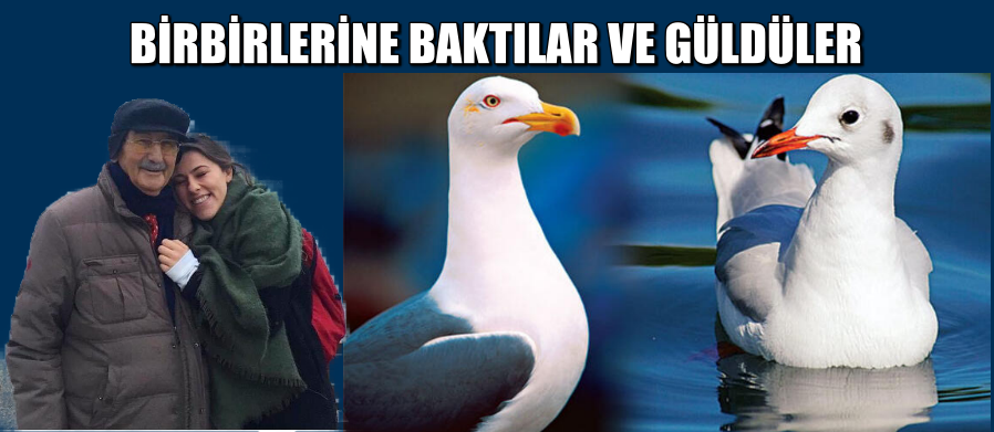 BİRBİRLERİNE BAKTILAR VE GÜLDÜLER
