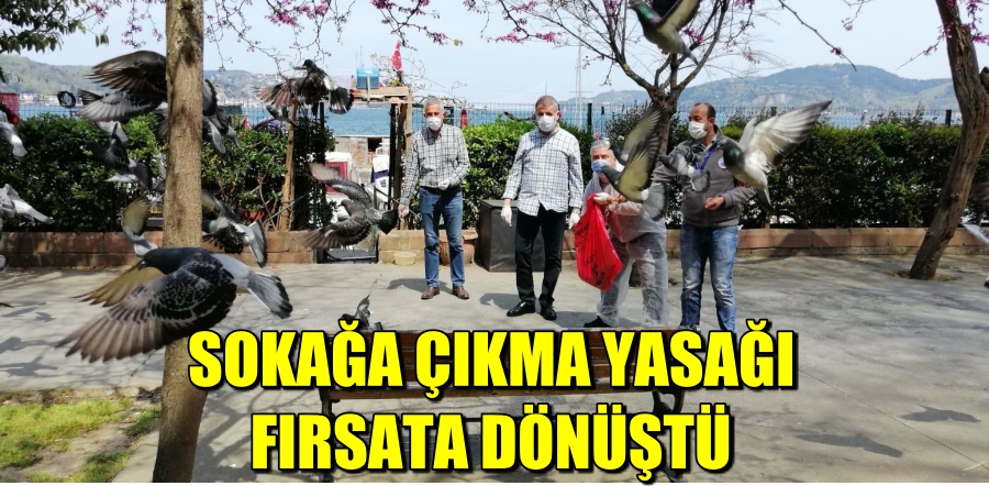 SOKAĞA ÇIKMA YASAĞI FIRSATA DÖNÜŞTÜ