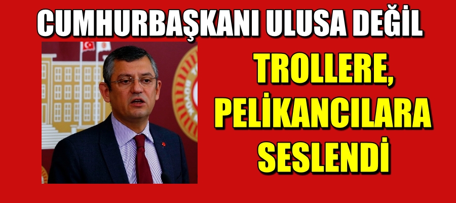 CUMHURBAŞKANI ULUSA DEĞİL TROLLERE PELİKANCILARA SESLENDİ