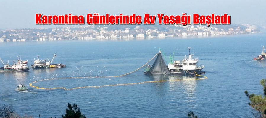 İşine Gelmeyenleri “Terör “Kapsamına Sokuyorlar