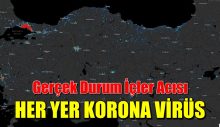 Türkiye Koronavirüs Haritası