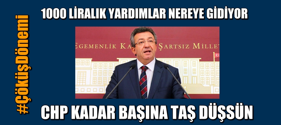 1000 Liralık Yardımlar Nereye Gidiyor?