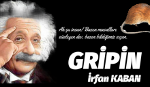 GRİPİN