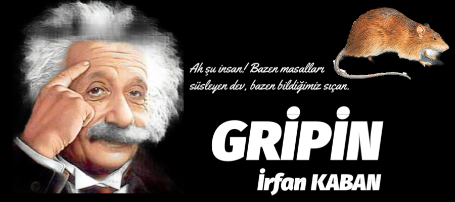 GRİPİN