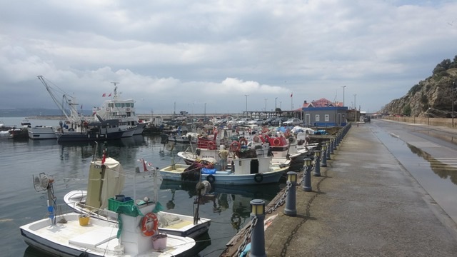 1 HAZİRAN İTİBARİYLE YÜZLER GÜLMEYE BAŞLADI..