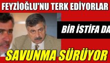 Feyzioğlu yönetiminden bir istifa daha