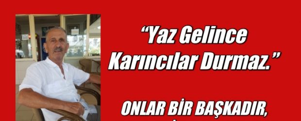 Onlar Bir Başkadır. (Gazcı) Selim Bayraktar