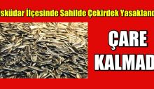 Üsküdar ilçesinde sahilde çekirdek yasaklandı