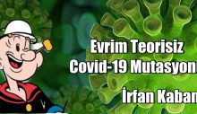 Evrim teorisiz Covid-19 mutasyonu