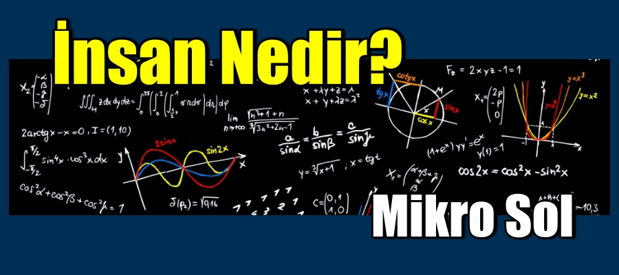 İnsan Nedir?