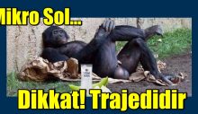 Mikro Sol: Dikkat! Trajedidir