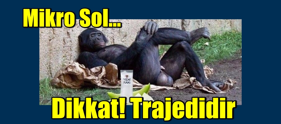 Mikro Sol: Dikkat! Trajedidir