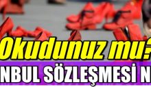 İstanbul Sözleşmesi Nedir: İşte Tam Metni