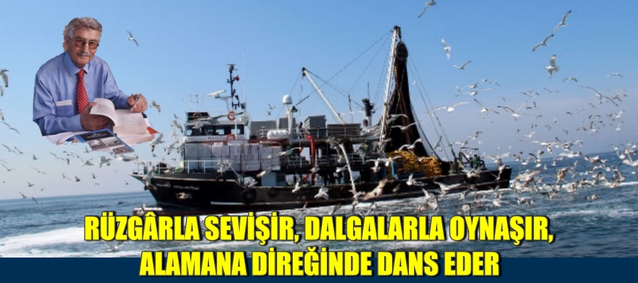 RÜZGÂRLA SEVİŞİR. DALGALARLA OYNAŞIR. ALAMANA DİREĞİNDE DANS EDER