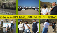 ULUSLARARASI BALIK GÖÇ GÜNÜ SARIYER’DE KUTLANDI