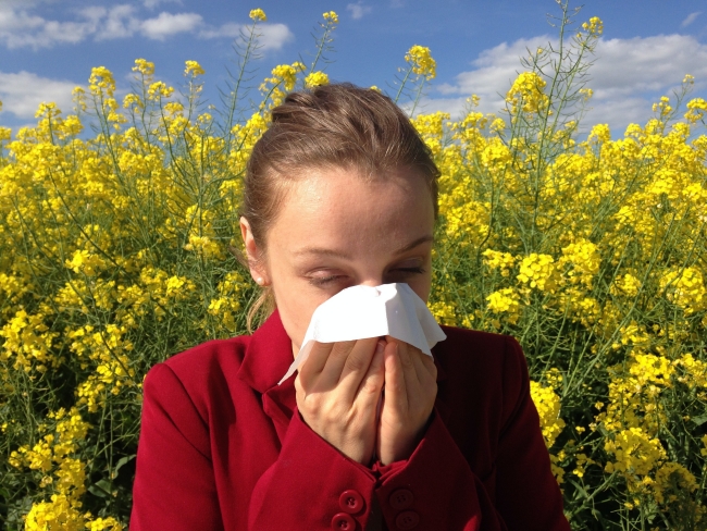 Sonbahar alerjisini Covid-19 ile karıştırmayın
