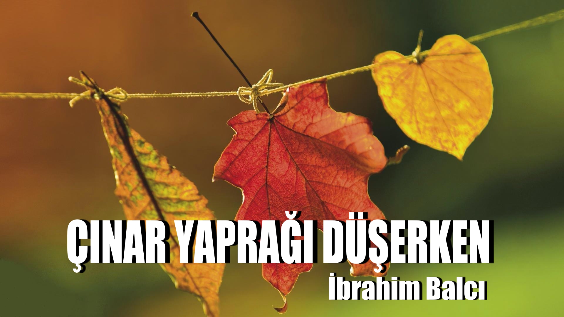 Çınar yaprağı düşerken