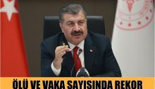 Ölü ve vaka sayısında rekor