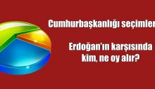 Erdoğan’ın karşısında kim, ne oy alır?