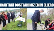 SOKAKTAKİ DOSTLARIMIZ EMİN ELLERDE