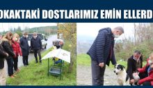 SOKAKTAKİ DOSTLARIMIZ EMİN ELLERDE