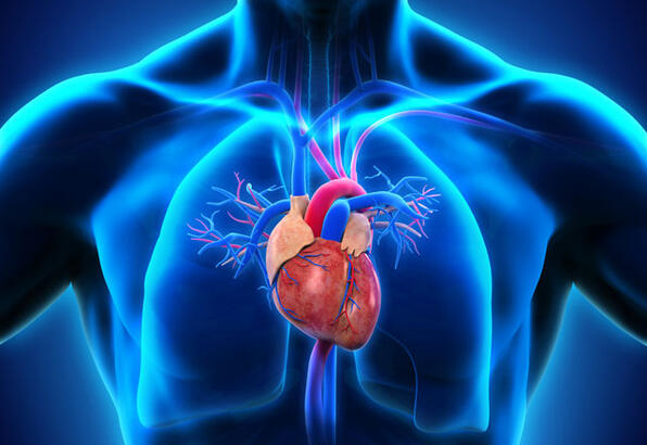 Abdominal aort anevrizması nedir, neden olur? İşte tedavi yöntemleri