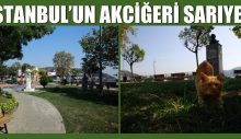 İSTANBUL’UN AKCİĞERİ SARIYER