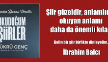 Şiir güzeldir, anlamlıdır, okuyan anlamı daha da önemli kılar.