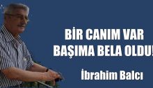 BİR CANIM VAR BAŞIMA BELA OLDU!