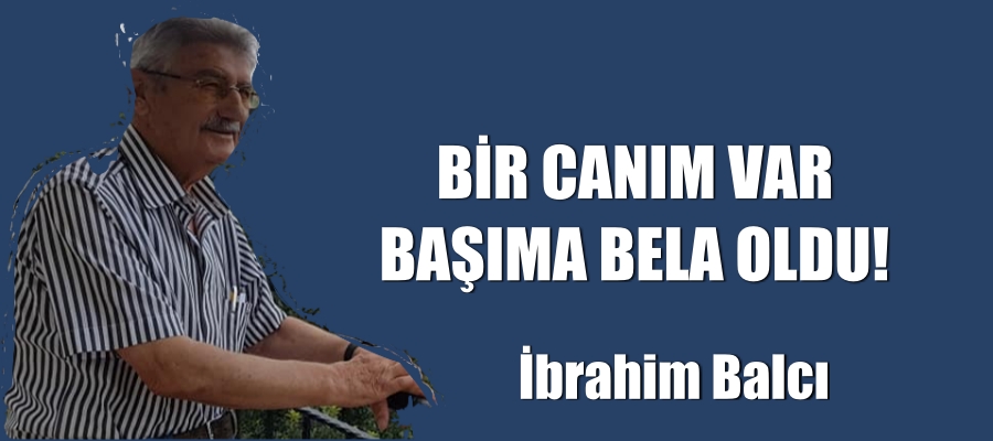 BİR CANIM VAR BAŞIMA BELA OLDU!