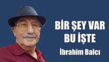 BİR ŞEY VAR BU İŞTE