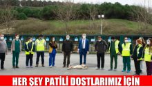 HER ŞEY PATİLİ DOSTLARIMIZ İÇİN