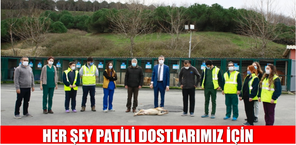 HER ŞEY PATİLİ DOSTLARIMIZ İÇİN