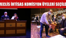 MECLİS İHTİSAS KOMİSYON ÜYELERİ SEÇİLDİ