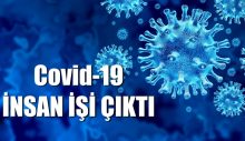 Covid-19 insan işi çıktı