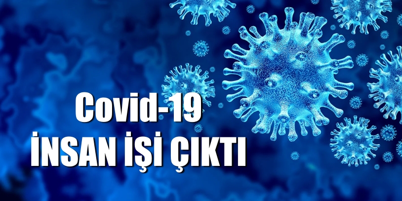 Covid-19 insan işi çıktı