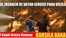 Orman Kanunu: Karşıla Bakalım..