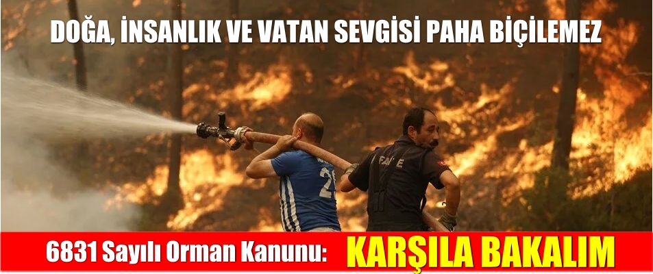 Orman Kanunu: Karşıla Bakalım..