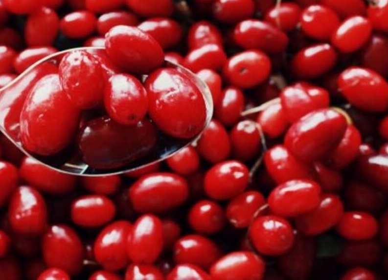 KIZILCIĞIN FAYDALARI NELERDİR ?