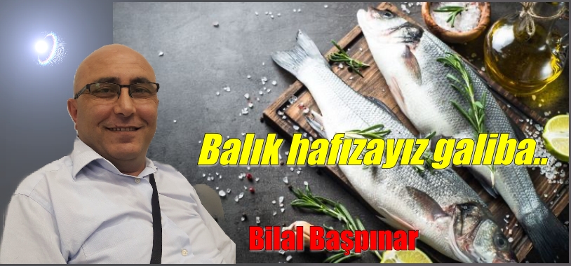 Balık hafızayız galiba