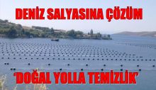 Deniz salyasına çözüm olarak midye çiftliklerinin sayısını artıracak
