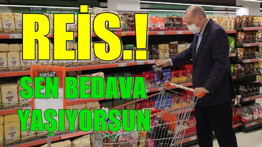 “Sana göre uygun. Sen bedava yaşıyorsun zaten.”
